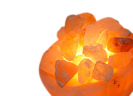 Акционные предложения